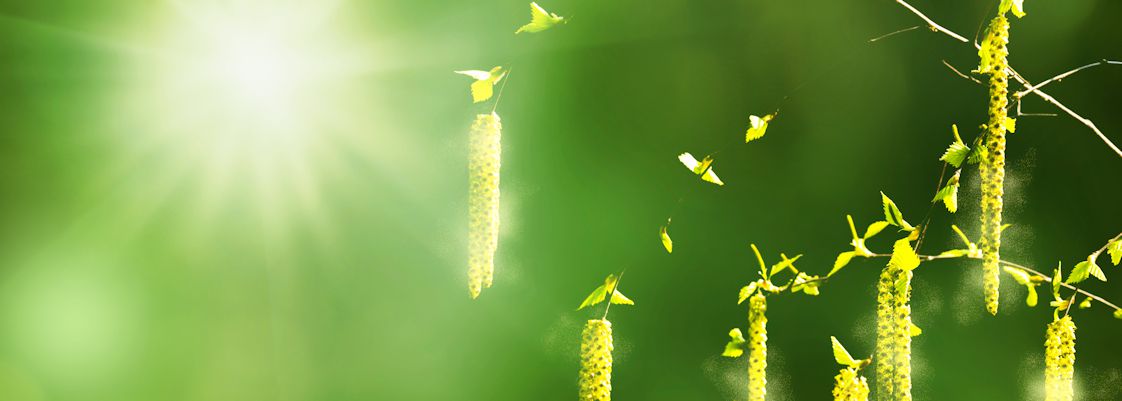 Alltags-Tricks gegen die Pollen